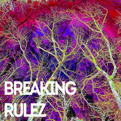 Breaking Rulez